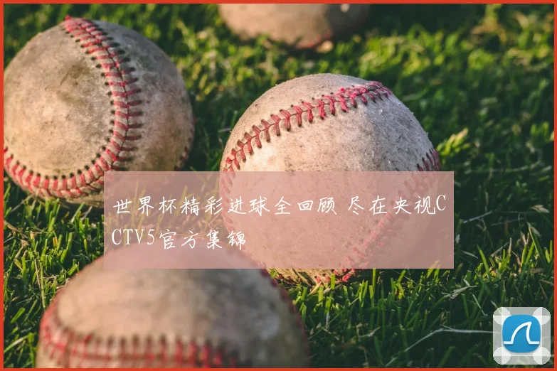 世界杯精彩进球全回顾 尽在央视CCTV5官方集锦