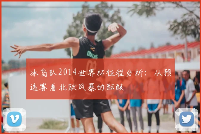 冰岛队2014世界杯征程分析：从预选赛看北欧风暴的酝酿