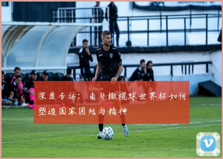深度专访:南非橄榄球世界杯如何塑造国家团结与精神