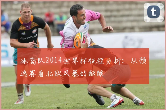冰岛队2014世界杯征程分析：从预选赛看北欧风暴的酝酿