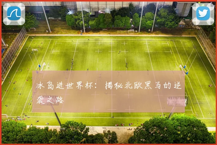 冰岛进世界杯：揭秘北欧黑马的逆袭之路